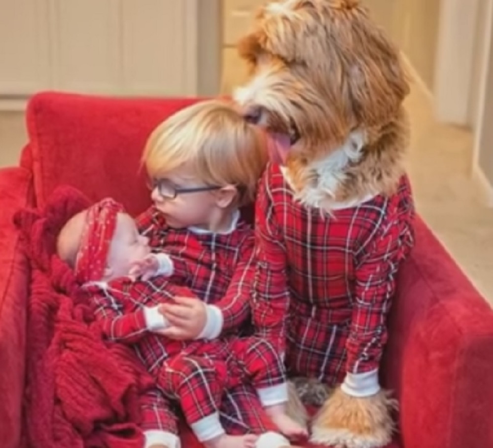 Deda oblači unuka i psa u istu odeću (VIDEO)