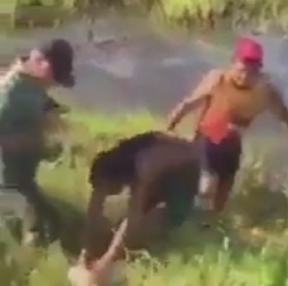 Som nokautirao pecaroša (VIDEO)