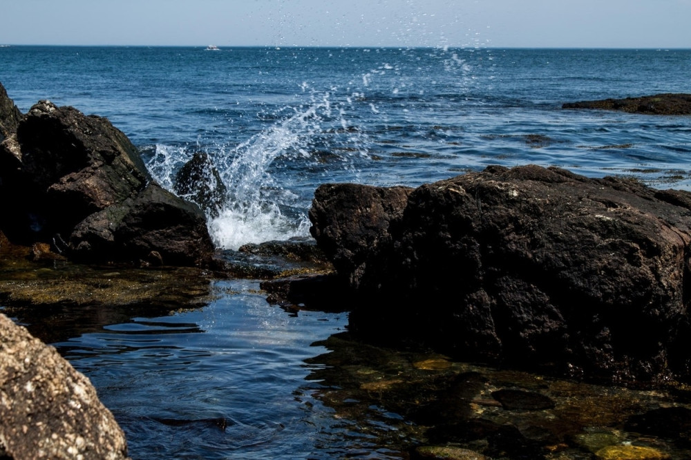 Ušao da se okupa u moru, krenuli da ga proždiru crvi?!