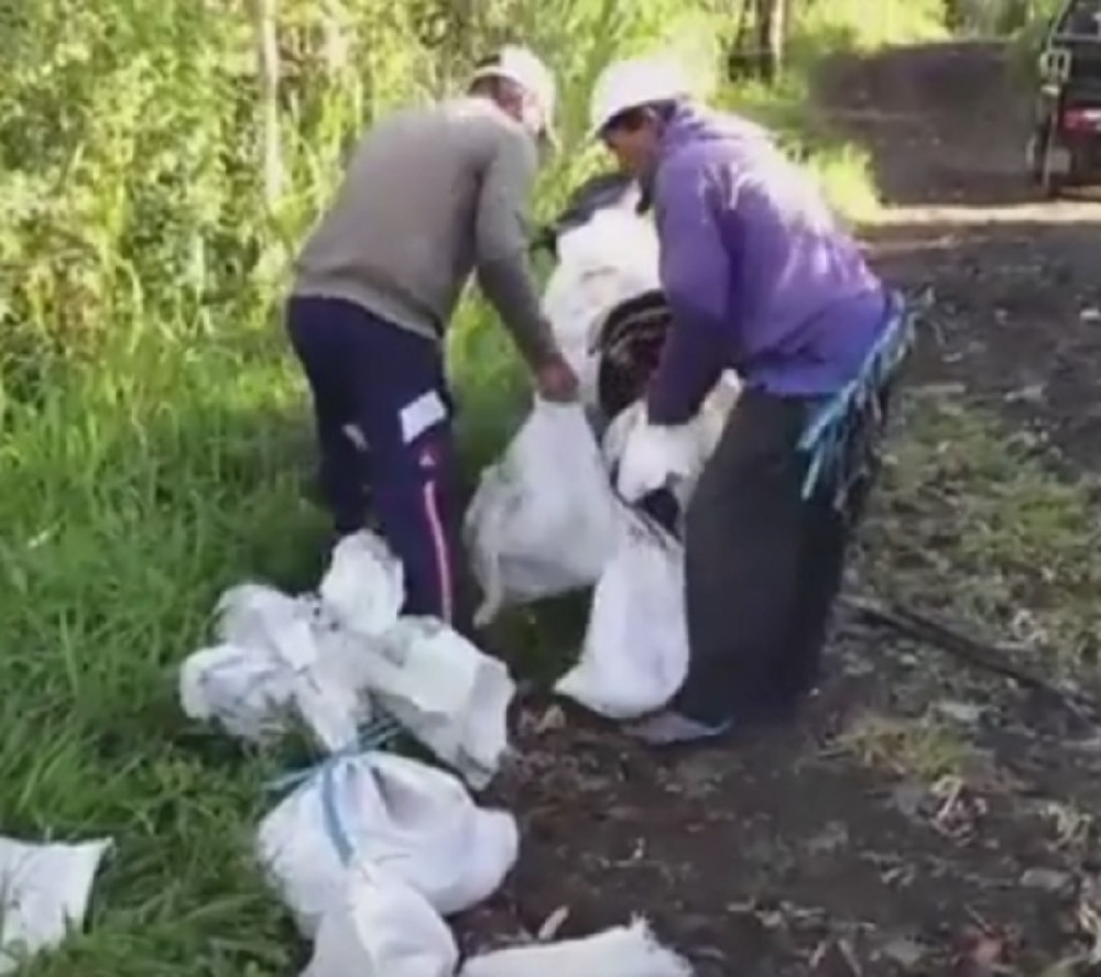 UZNEMIRUJUĆI SADRŽAJ~Na ovom mestu kolju pse, a meso prodaju kao piletinu (VIDEO 18+)