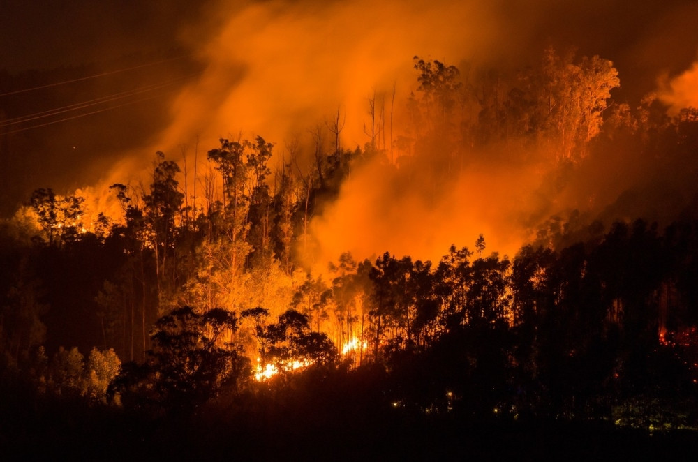 Istok Rusije u plamenu!