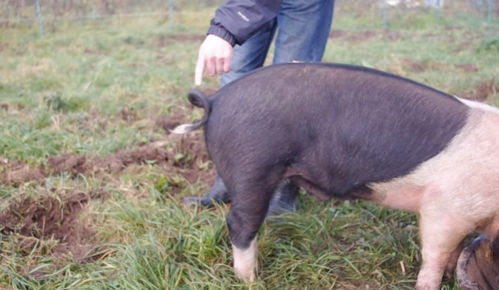 Oglasilo se Ministarstvo poljoprivrede - preduzete sve mere!