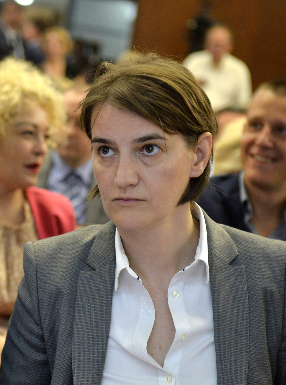 Brnabić: Nova vlada će održati kontinuitet Vučićeve