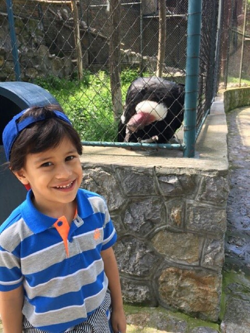 Pomozimo Nemanji (6) da ozdravi