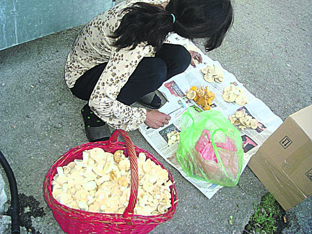 Otrovne gljive prodaju na pijaci