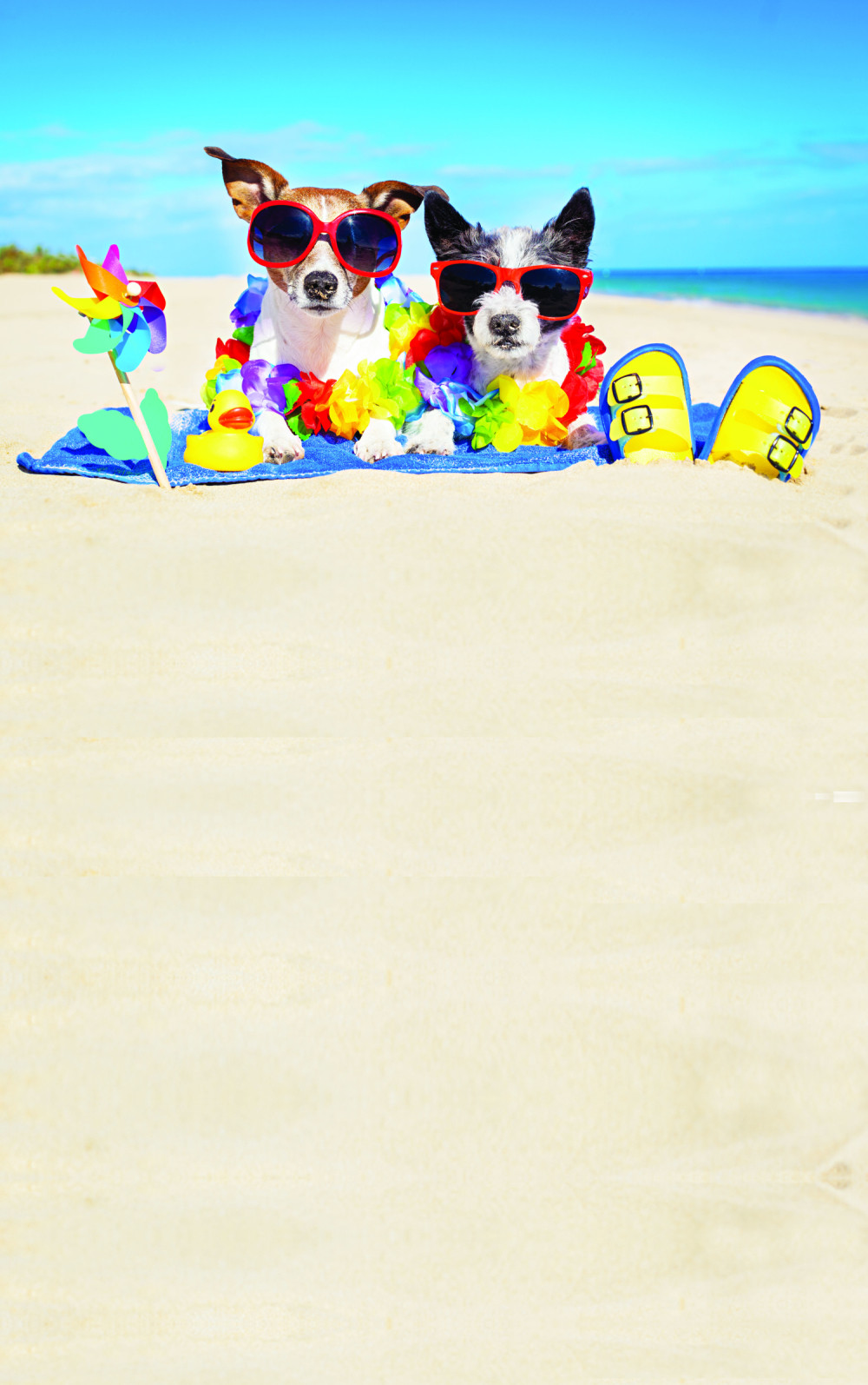 Čuvajte kuce od toplotnog udara