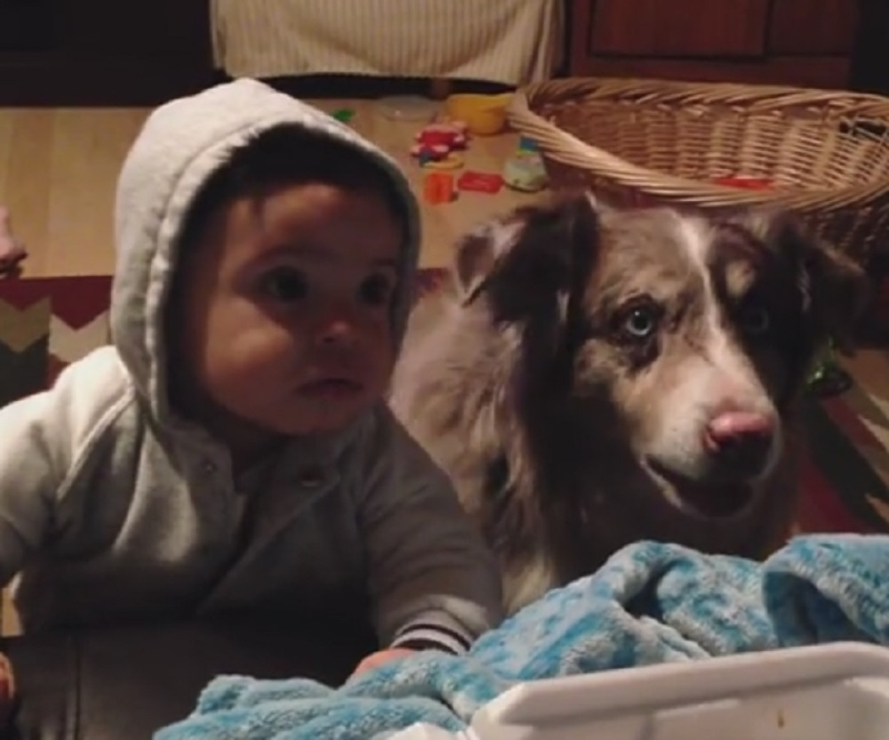 Učila bebu da kaže "mama", a onda se oglasio pas (VIDEO)