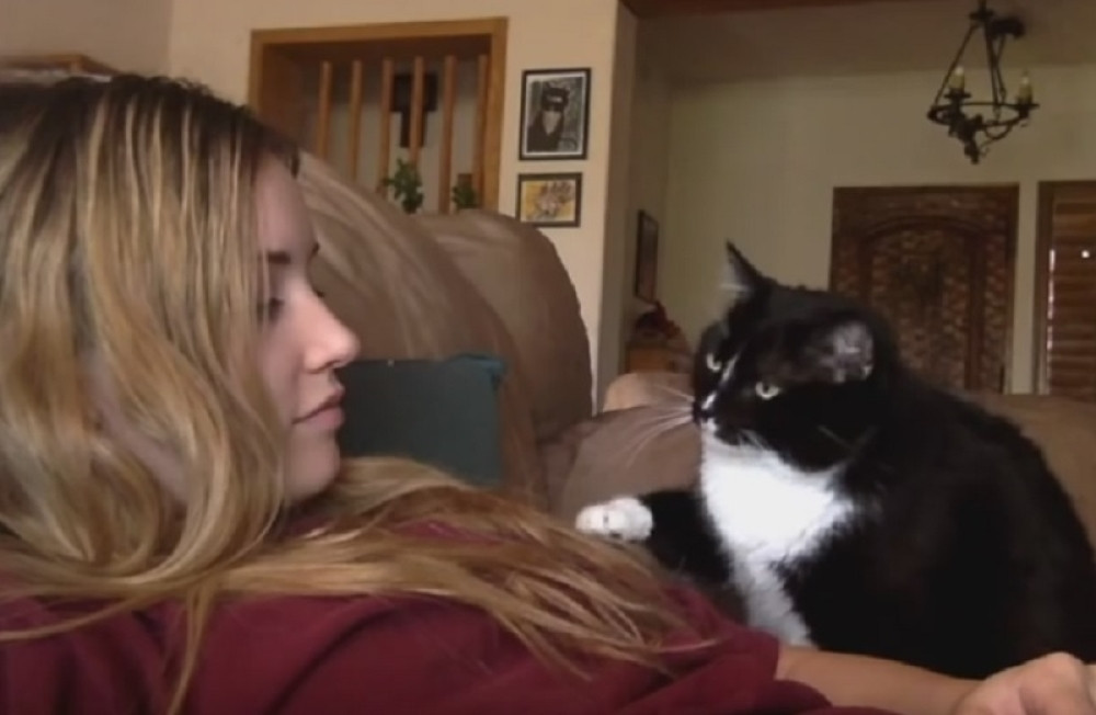 Maca moli gazdaricu da je mazi (VIDEO)