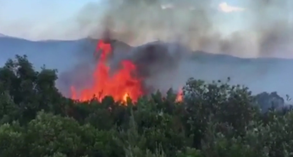 Ugasićemo požar kod Tivta!