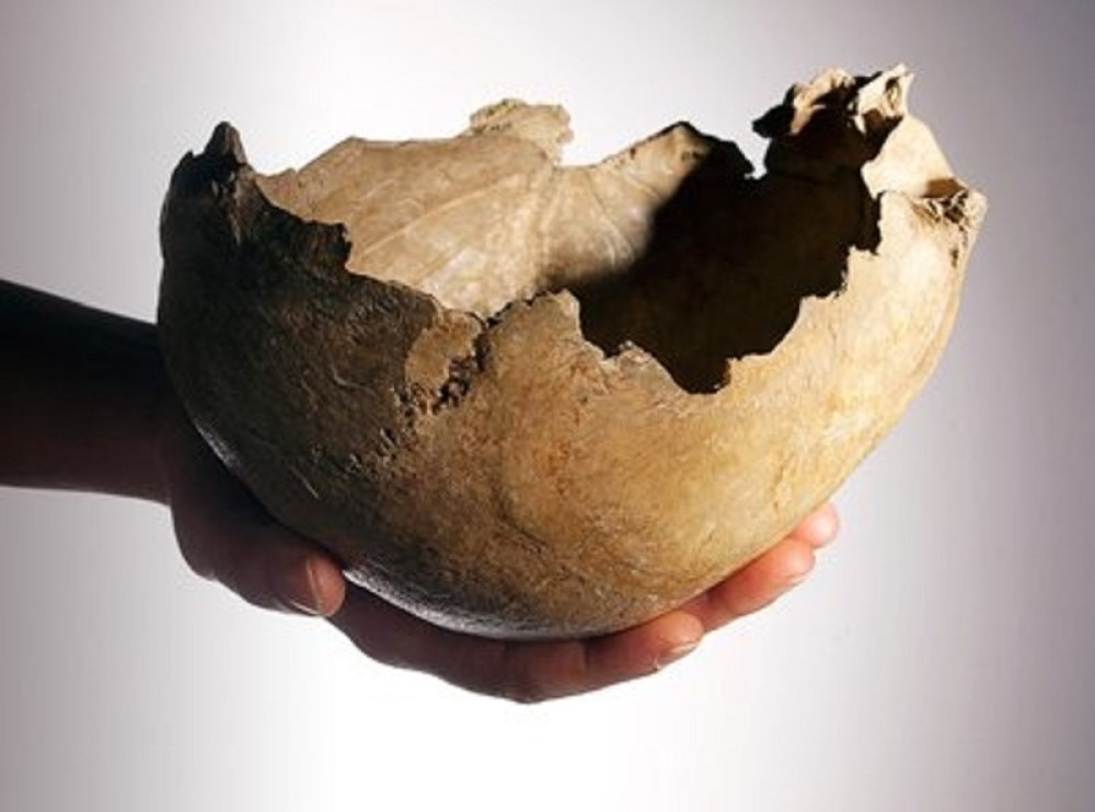 Pronađeni kosturi "džinova"! (FOTO+VIDEO)