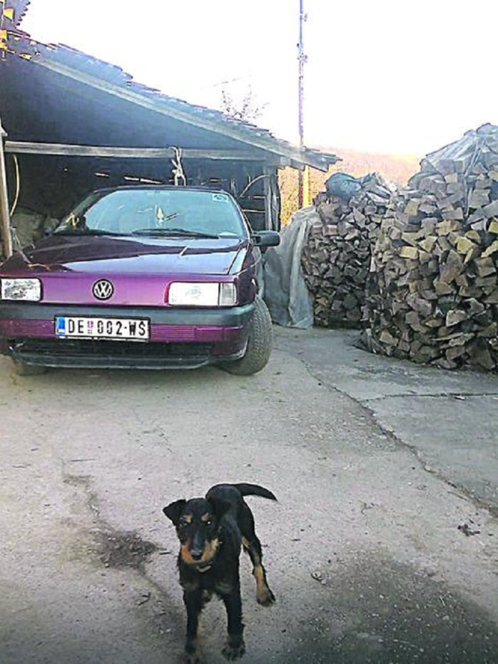 Nestao pas heroj koji je šest dana u provaliji čuvao nepokretnog gazdu!