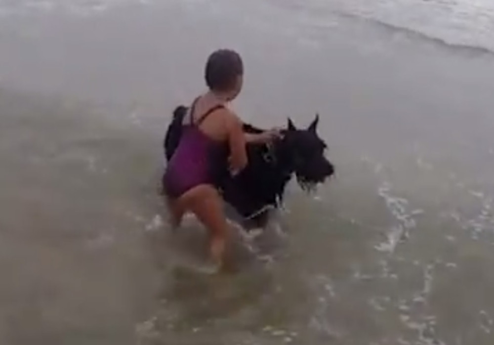 Krenula je u smrt, a pas ju je spasao! (VIDEO)