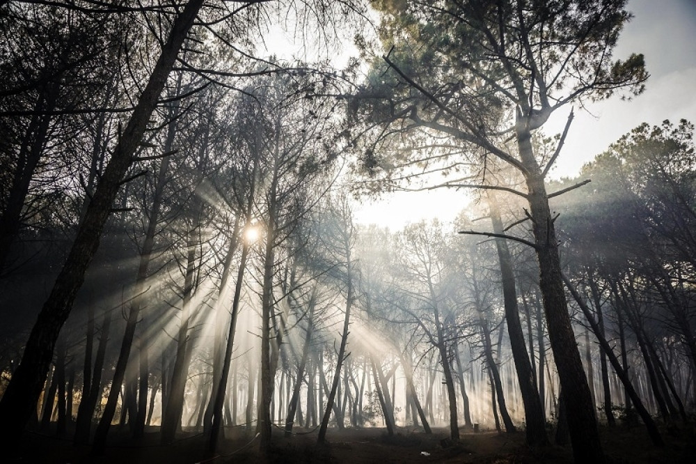 U Italiji baksuzni broj nije 13 već 17, a razlog je krajnje bizaran