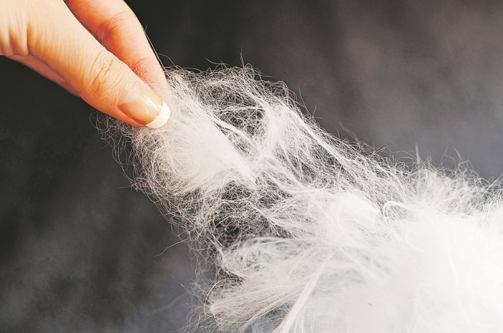 Objavite rat psećim dlakama!