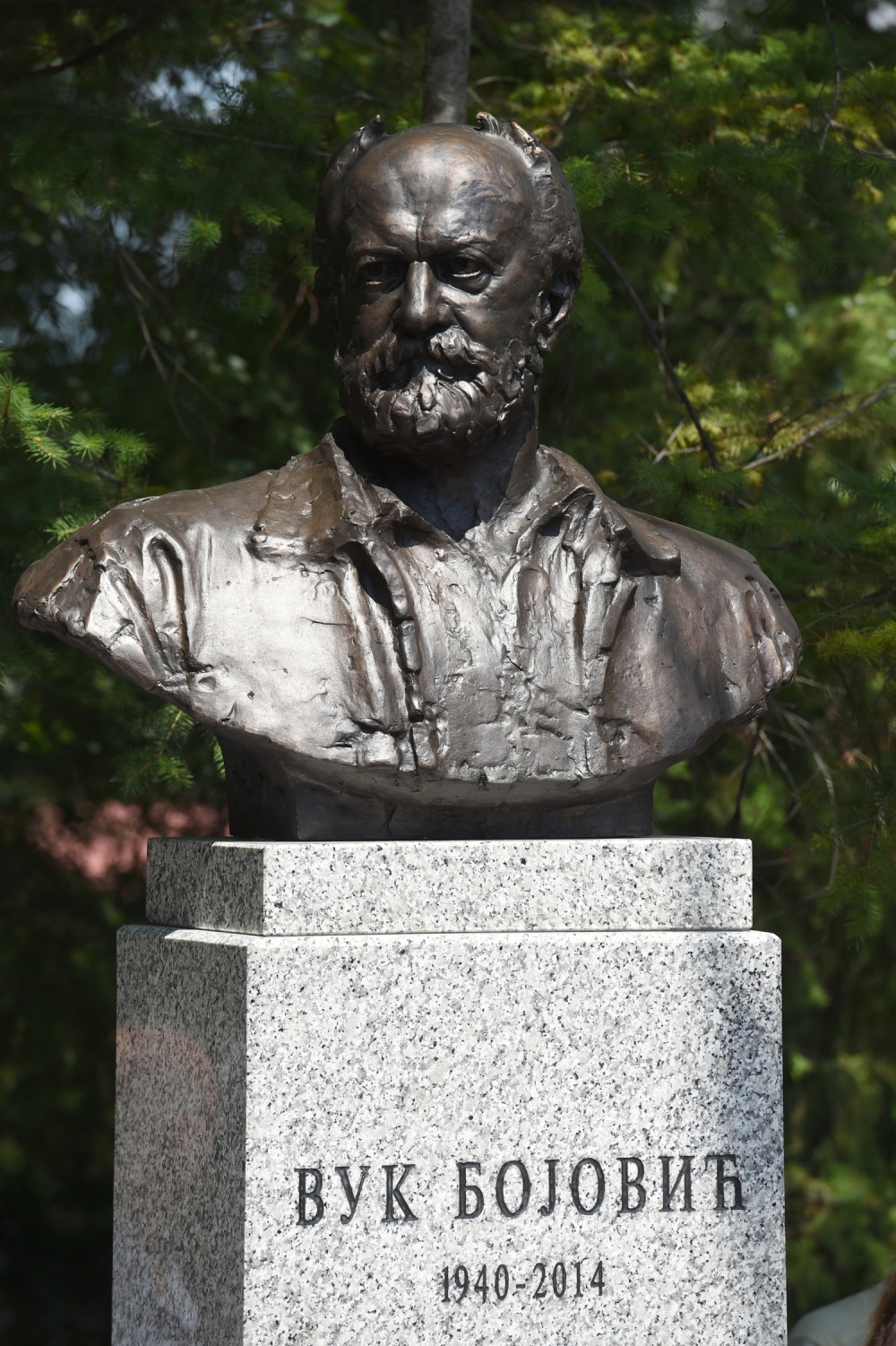 Otkriven spomenik Vuku Bojoviću