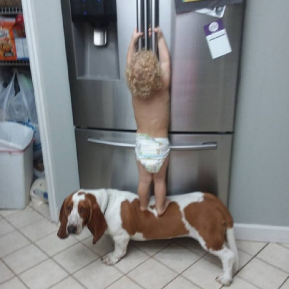 Prizor koji je raznežio milione ljudi