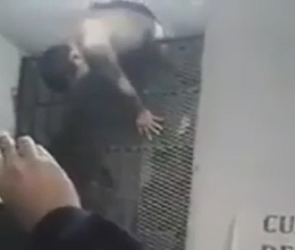 Pokušao u gaćama da kidne iz zatvora, stražari plakali od smeha (VIDEO)