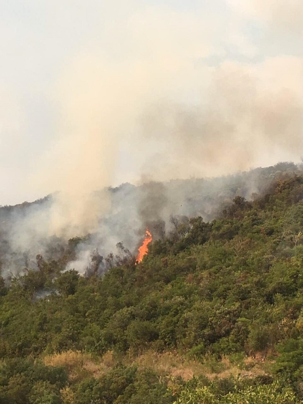 Pogledajte dramatične fotografije požara iz Bigova