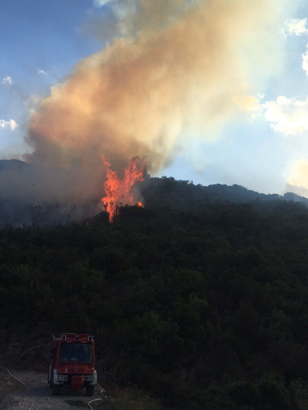 Požar nam podmetnuli Jugosloveni koji mrze Hrvate!
