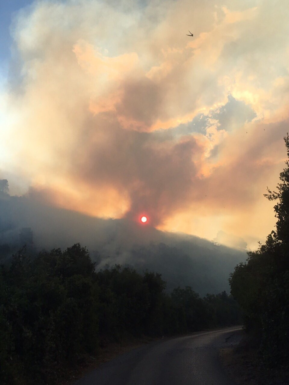Tinejdžer priznao da je izazvao požare u Crnoj Gori