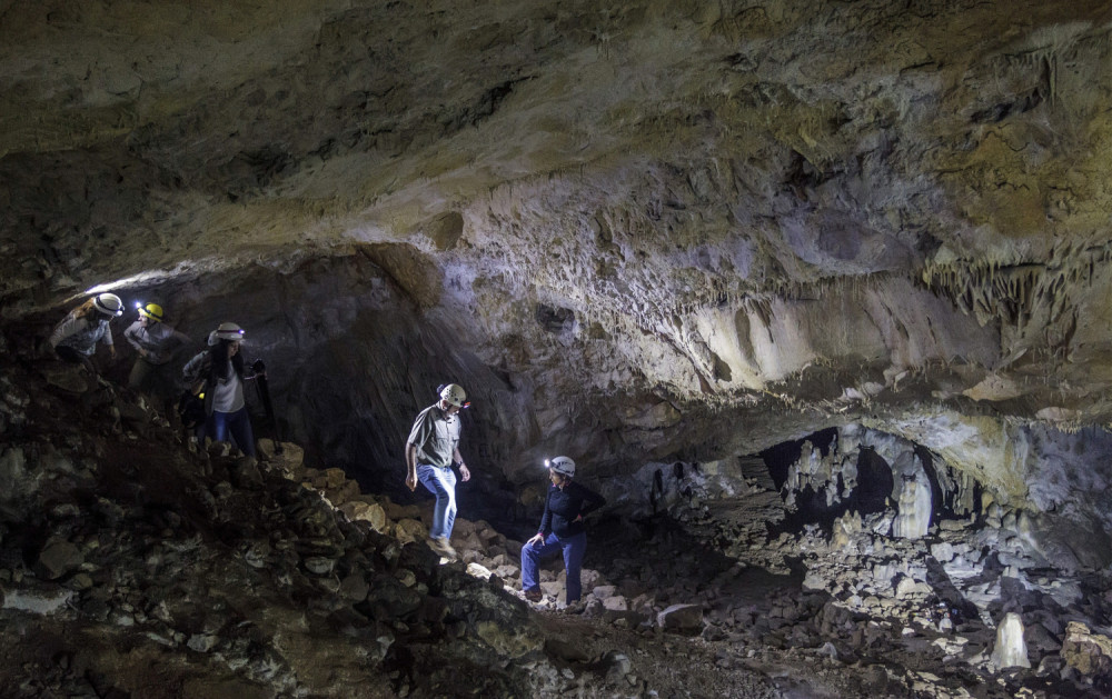 Spotakao se i pronašao fosil star 1,2 miliona godina