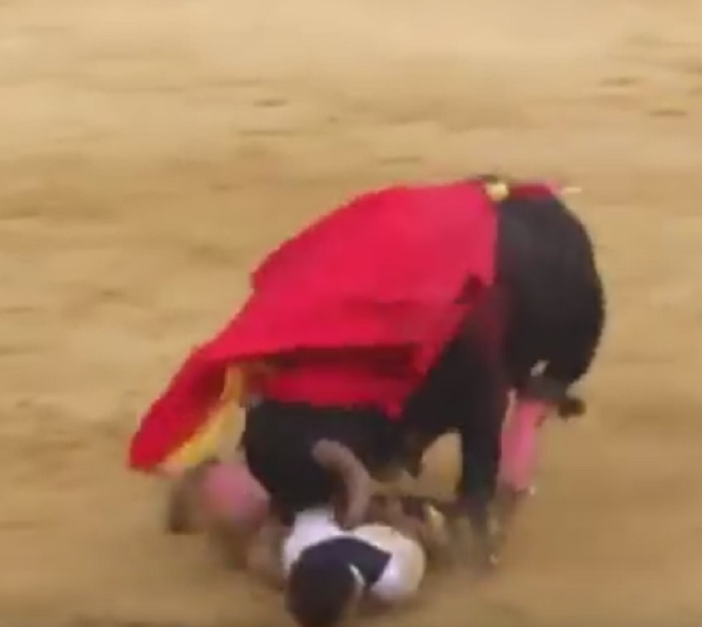 Bik rasporio toreadora zarivši mu rogove u leđa (VIDEO)