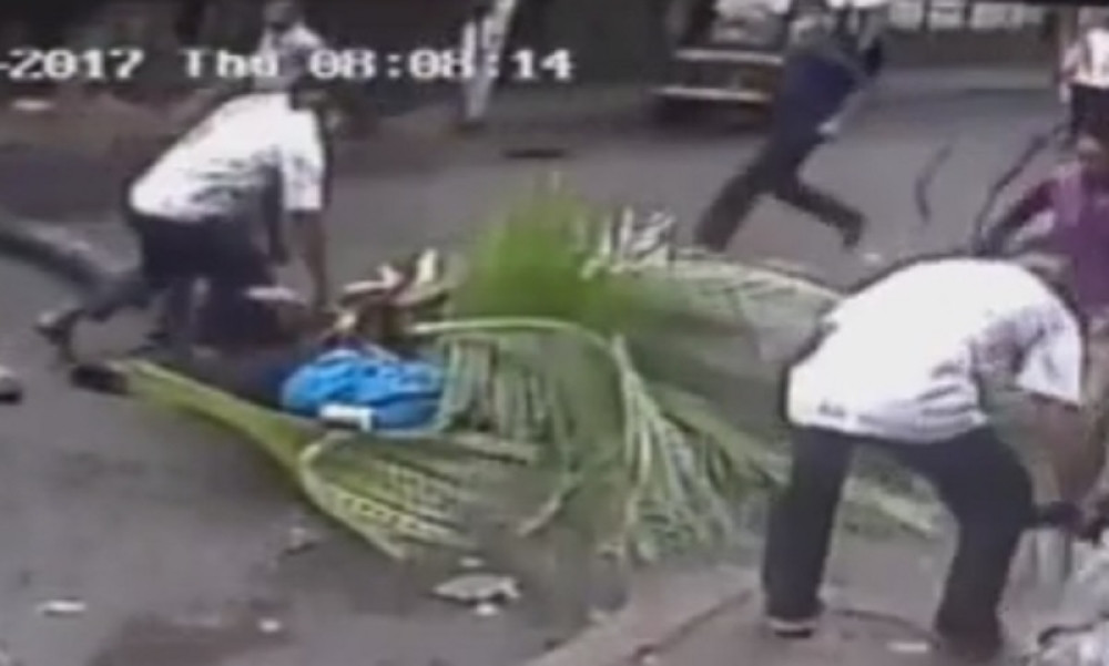 Poznatu voditeljku ubilo drvo (UZNEMIRUJUĆI VIDEO)