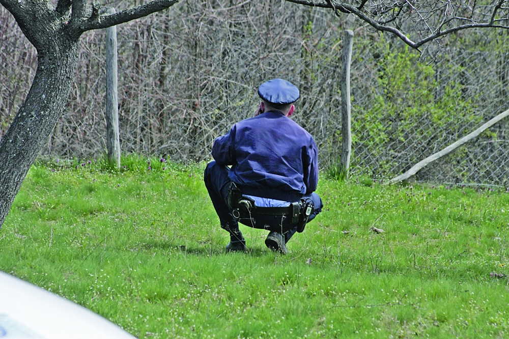 Mladić sleteo sa puta, i zakucao se u stub! OSTAO NA MESTU MRTAV!