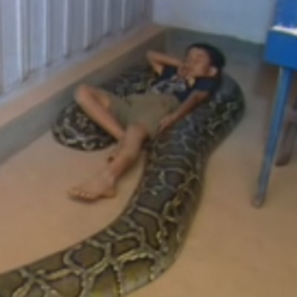 Kao beba spavao sa zmijom, a 11 godina kasnije dogodilo se ovo (VIDEO)