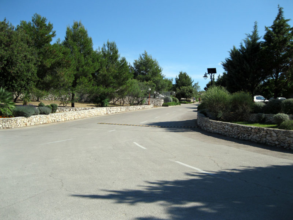 Za Srbe, parking 50 evra