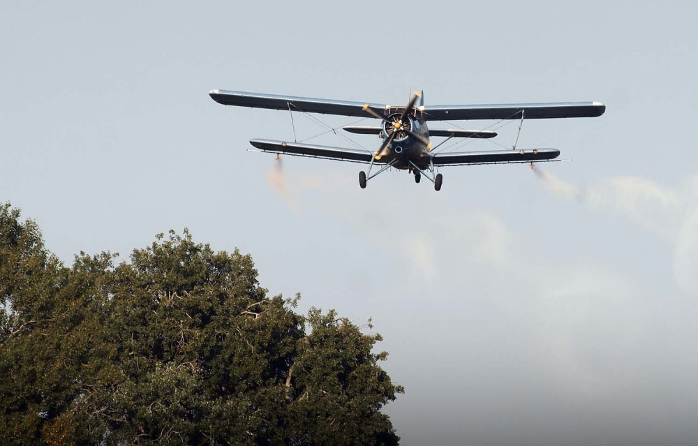 Večeras zaprašivanje komaraca na Paliluli