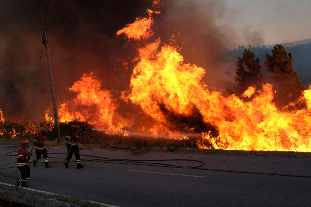 Buknuo šumski požar na Crnom vrhu, kritično u ovim delovima Stare planine