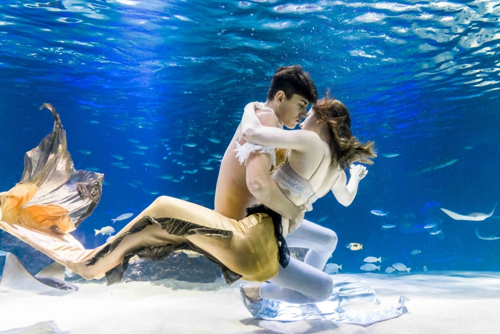 Ovako je Alo! prošle nedelje video svet!