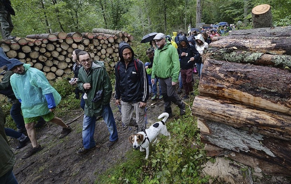 Stotine ljudi došlo u šumu da je brane od seče