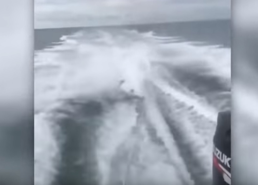 Smejući se mučili su životinju vukući je gliserom! (VIDEO)