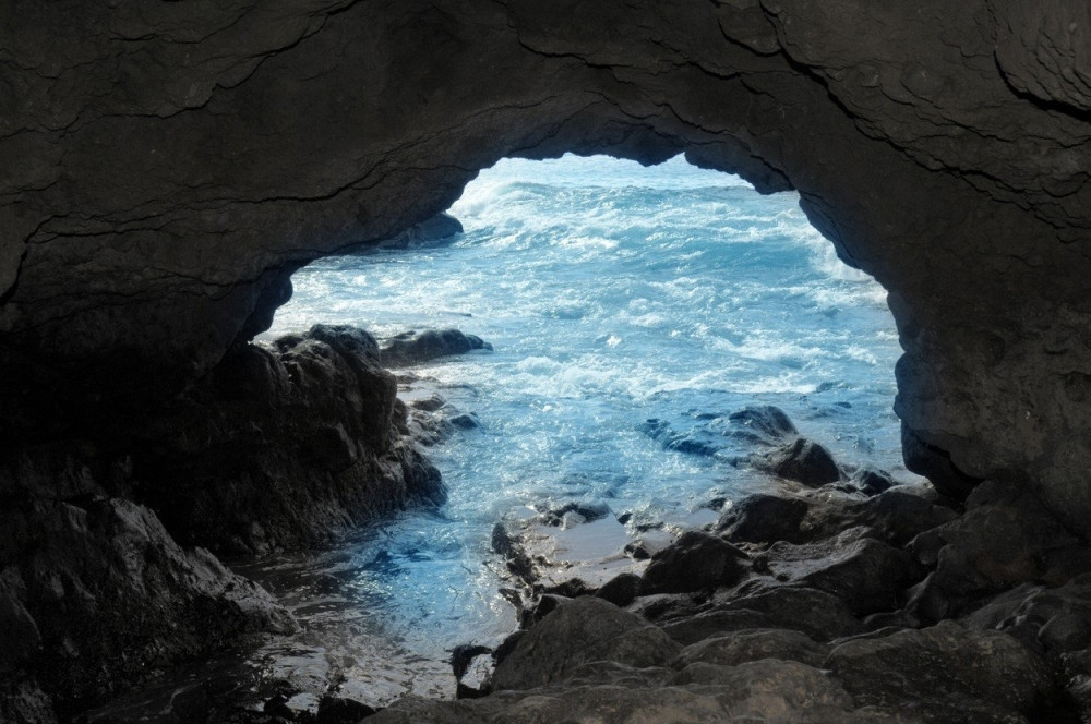 Misteriozno krvavo čudovište isplivalo iz mora