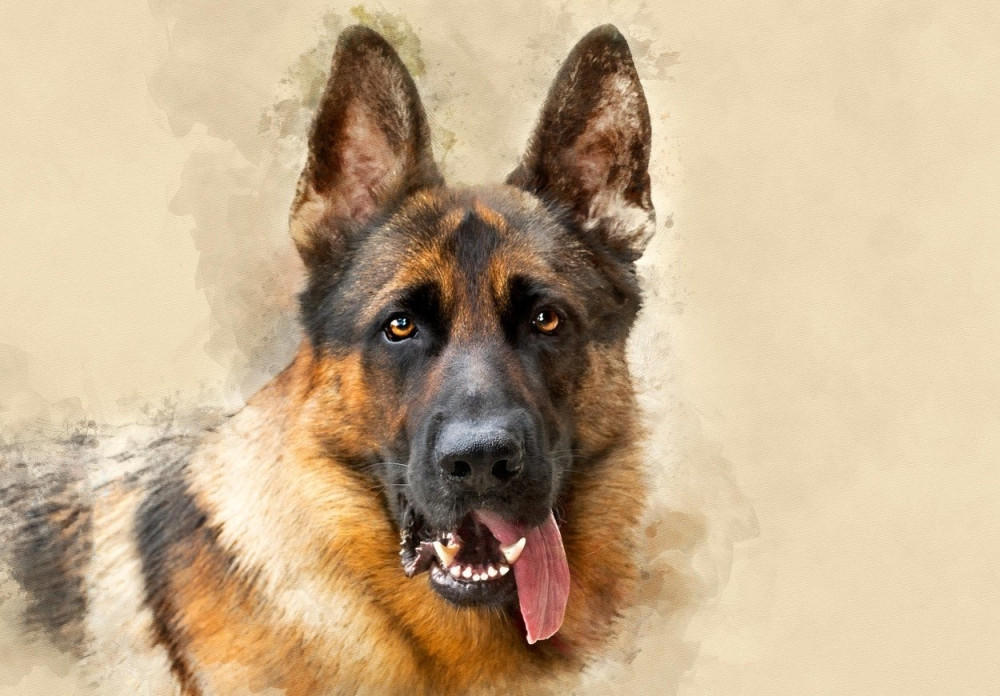 Stajao je ispred sobe i gledao ih, a kad su saznali razlog, ZGROZILI SU SE! (VIDEO)