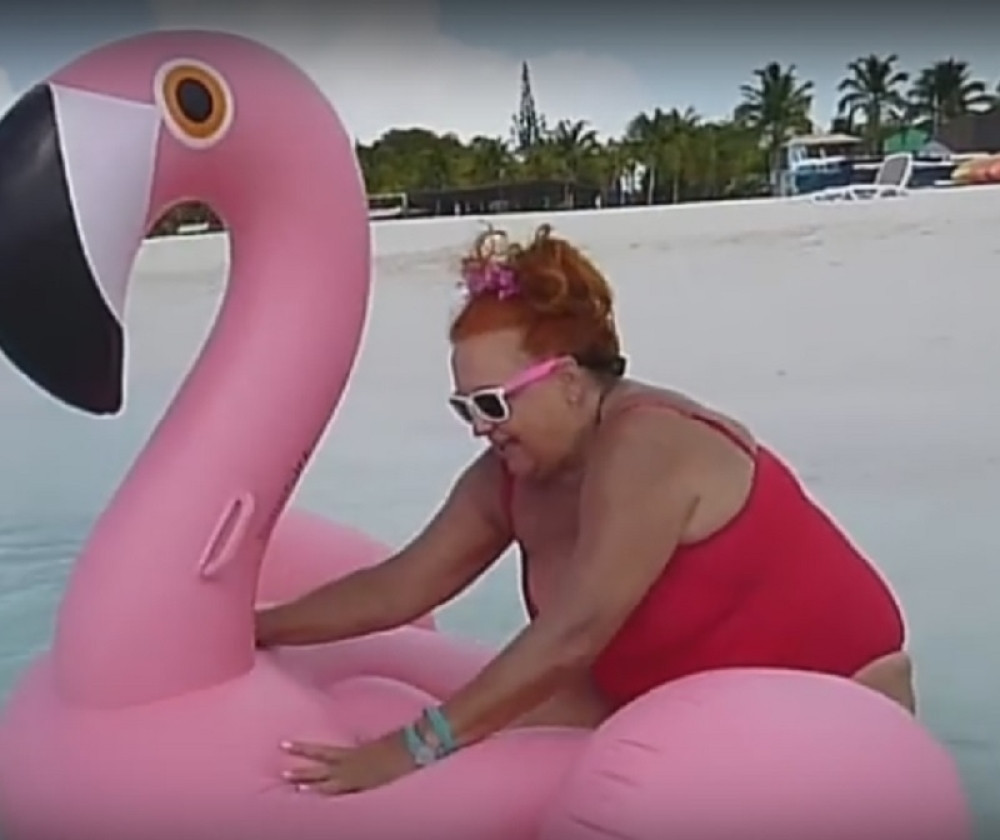 Baka htela da "proba" roze flamingosa, nastao šou! (VIDEO)