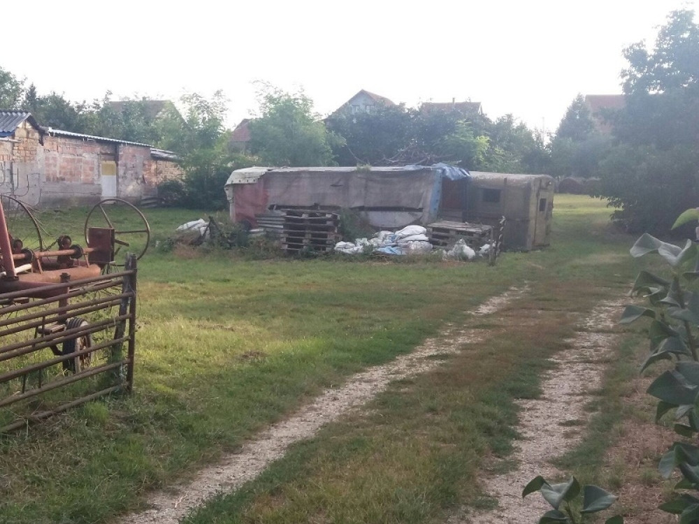 Partizan doveli da igra pored kokošinjca