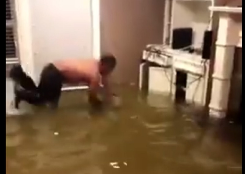 U dnevnoj sobi love ribu! (VIDEO)