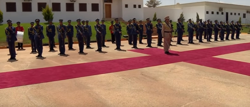 Evo kako da za sve pare istraumirate političara! (VIDEO)