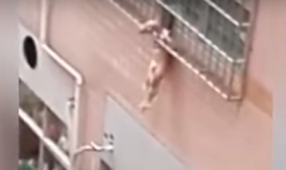 Ostavili dete (2) samo kod kuće, on skočio kroz prozor!