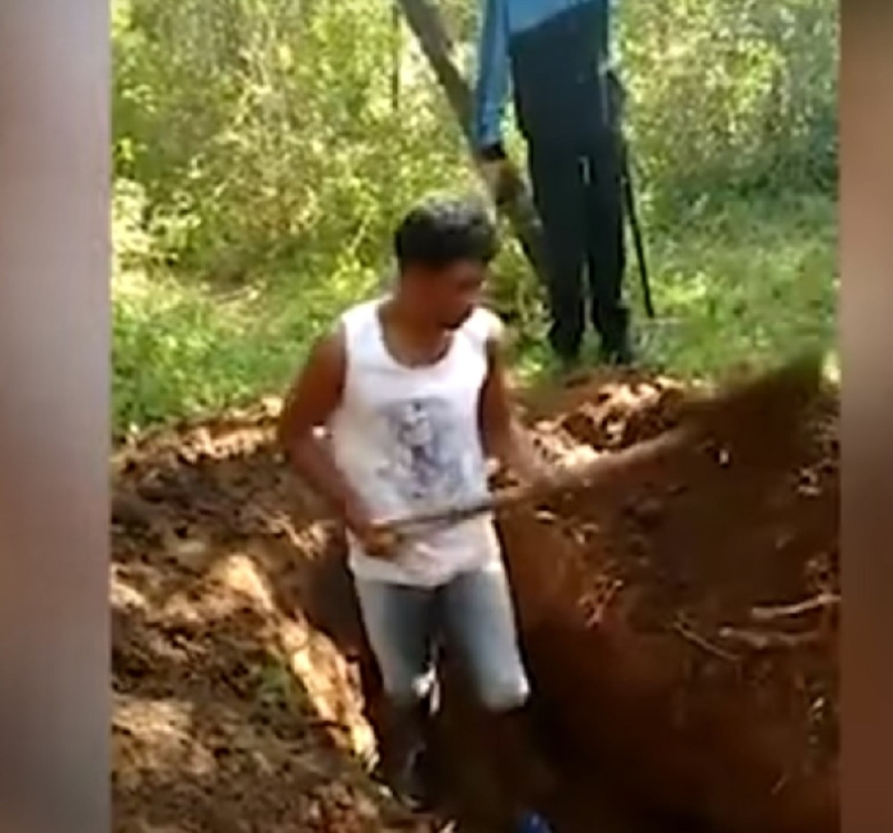 Naterali ih da iskopaju sebi grob, upucali ih, pa ih zapalili!