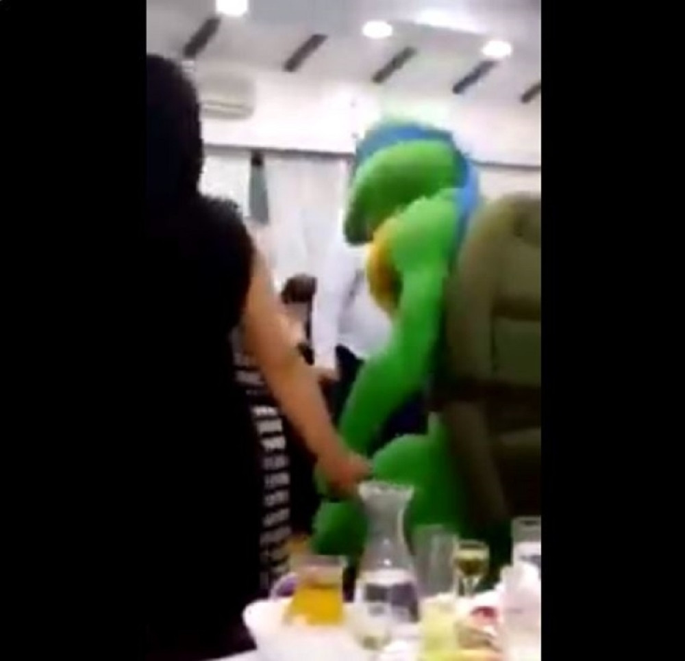 Na svadbi u Srbiji nindža kornjača oplela kolce (VIDEO)