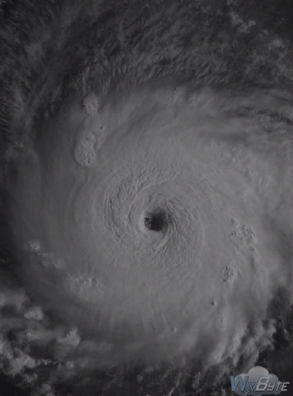 Irma odnela 55 života