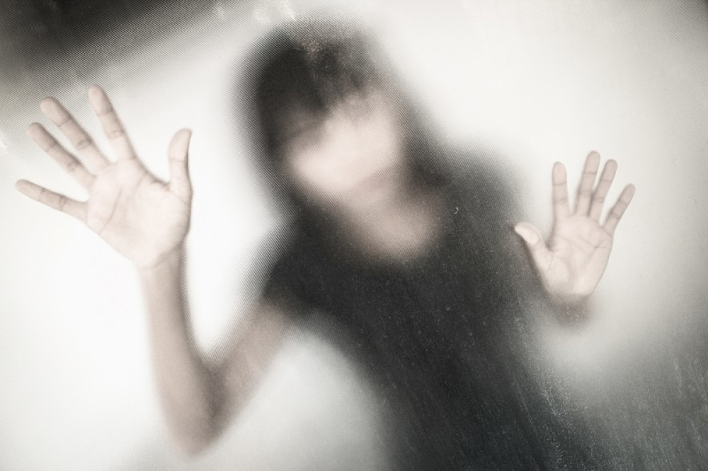 Pokušala da dohvati fekalije pa se zaglavila u prozoru! (FOTO)