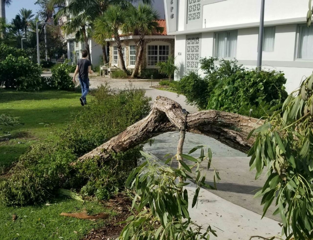 Znate li šta je ustoka? Ima je samo na našim prostorima!