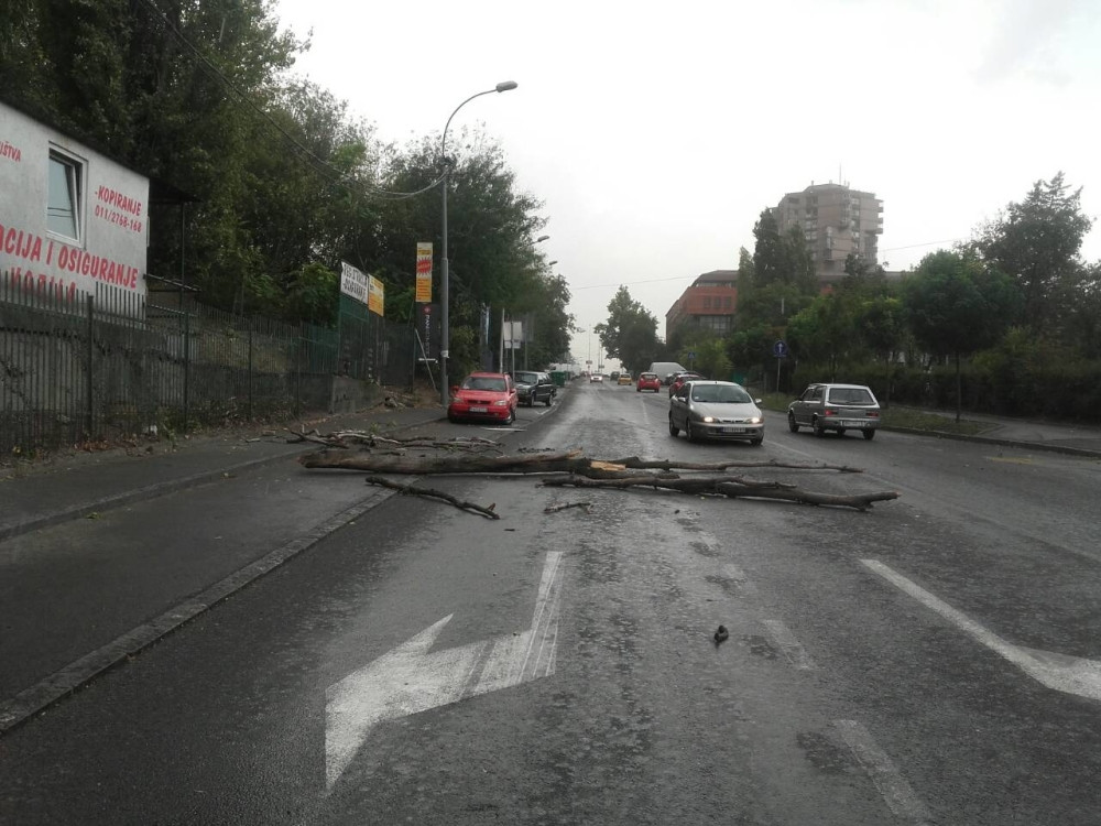Vetar čupao drveće i nosio krovove, među povređenima i dete! (VIDEO)