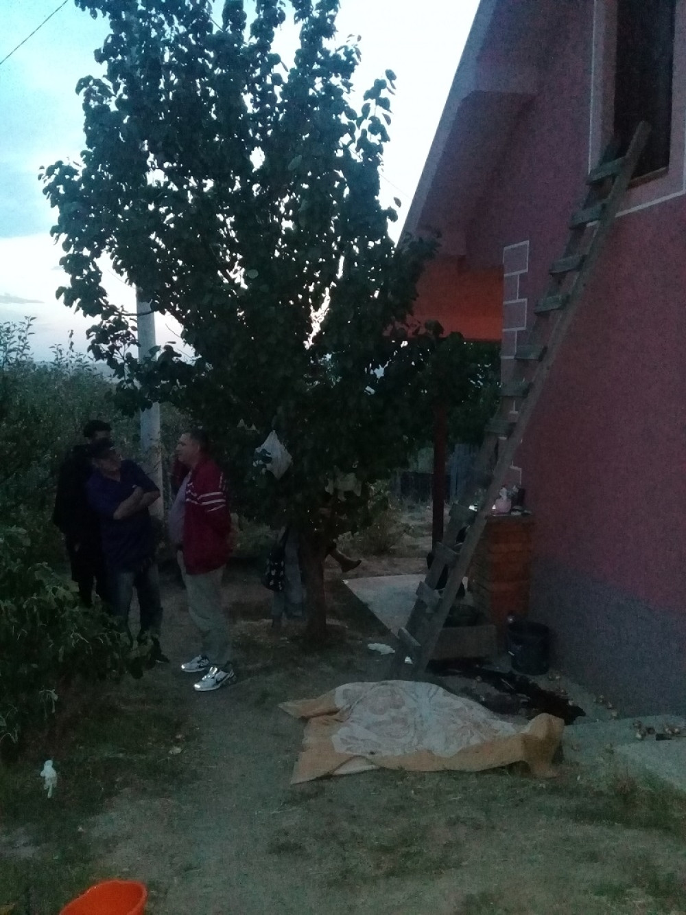 Bor: Žena krenula po crni luk, pa poginula!