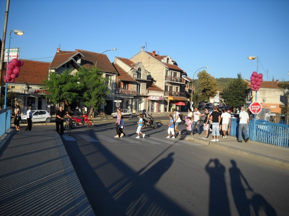 Vlada sprečava belu kugu u Vlasotincu